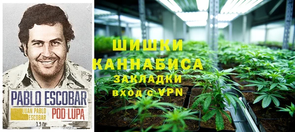 стаф Вязники