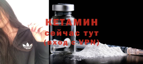 стаф Вязники