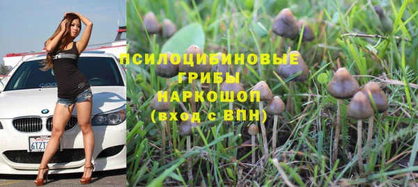 стаф Вязники