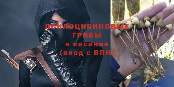 шишки Вязьма