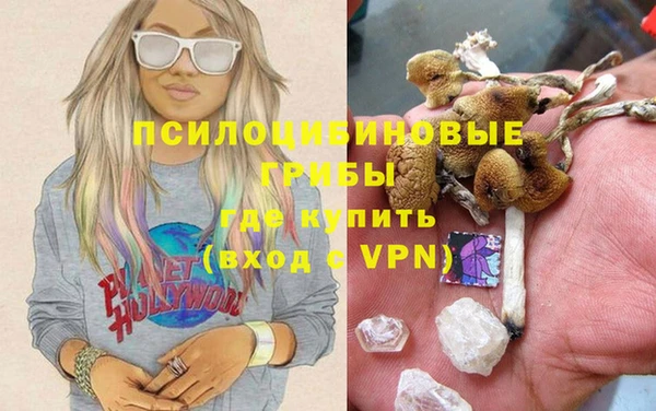 шишки Вязьма